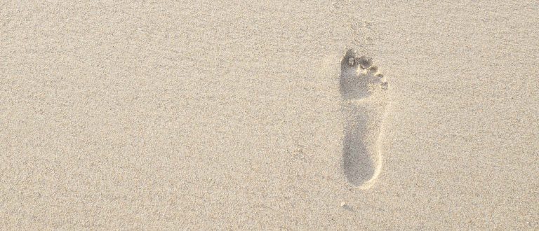 | TRAVEL LOGS | barefoot step in golden beach sand