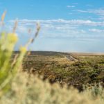 The scenic and winding Great Ocean Road on a hill in green yellow grassland landscape, Victoria, Australia