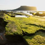 Seongsan, Jeju Island, South Korea, Volcano stones at sunrise at Ilchulbong volcano crater with view over ocean and green moss stones