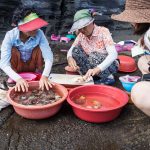 Two older women sitting on the cliff and prepare and sell fresh seafood to tourist girl in Jeju Island