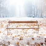 Bench in the snow during sunny weather with orange autumn leaves in Zrinjevac Park, Zagreb, Croatia